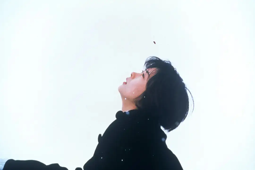 日本电影在中国发展史_日本电影摇晃的公交车_日本电影在中国票房排行